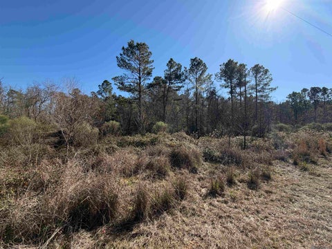 Vacant Land For Sale - LOT 5-D Texas St<br/> Livingston, LA 70754
