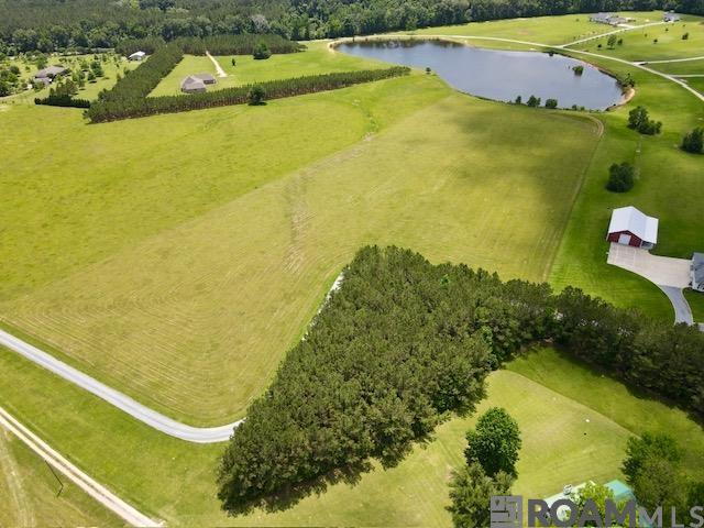10724 La Hwy 955, Ethel, Louisiana image 10