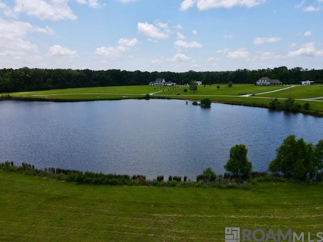10724 La Hwy 955, Ethel, Louisiana image 13