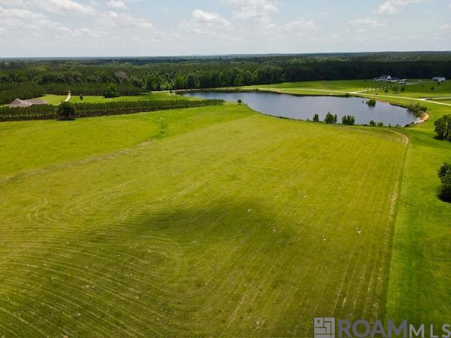 10724 La Hwy 955, Ethel, Louisiana image 3