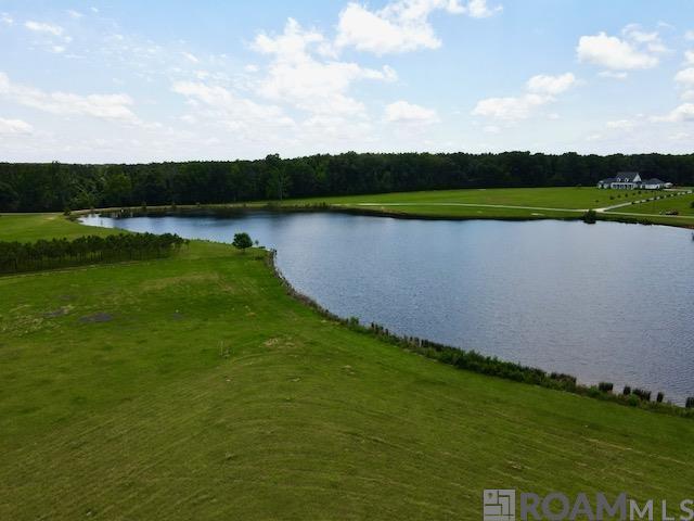 10724 La Hwy 955, Ethel, Louisiana image 14