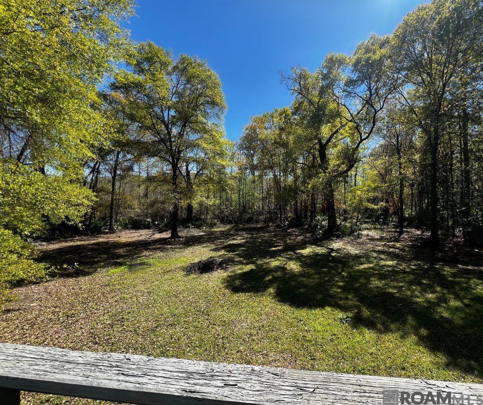19905 Aydell Ln, French Settlement, Louisiana image 2
