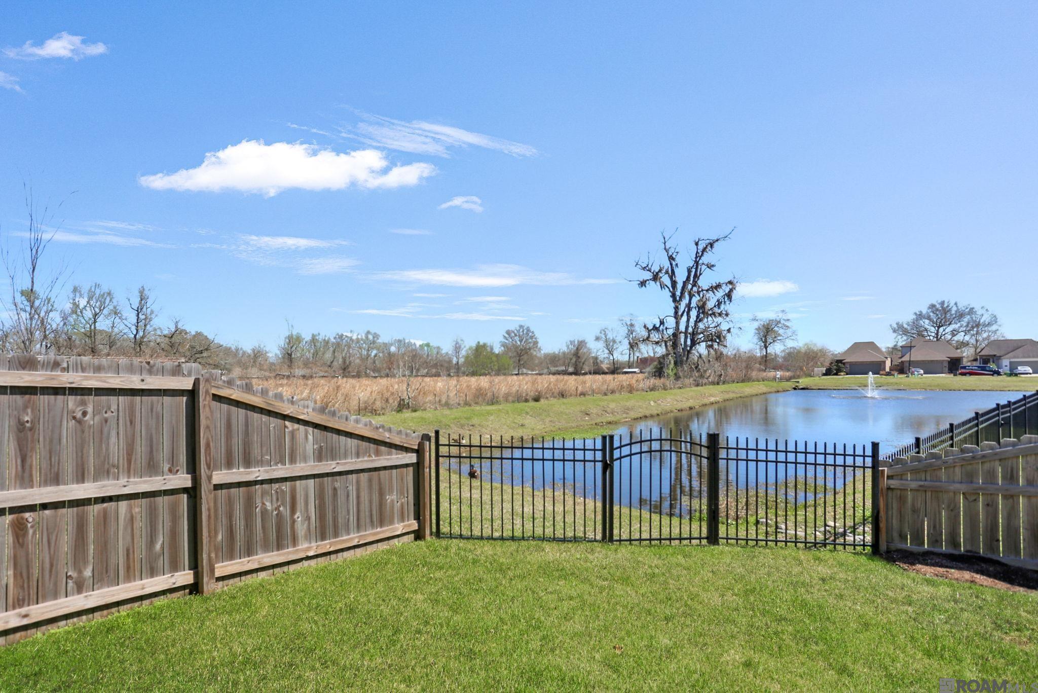 16310 Fort Jackson St, Prairieville, Louisiana image 17