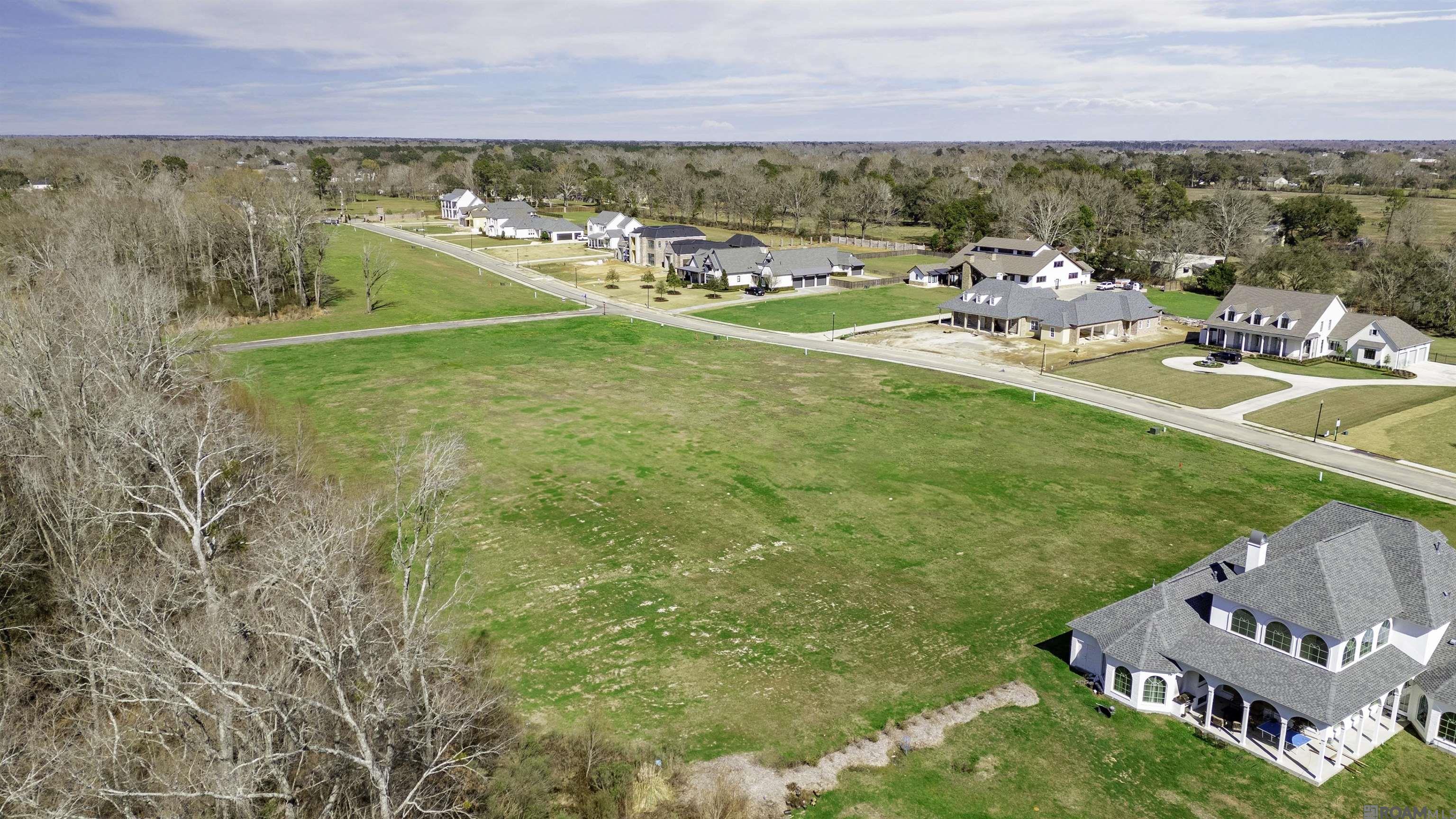 Lot 13 Manchac Reserve Dr, Baton Rouge, Louisiana image 3
