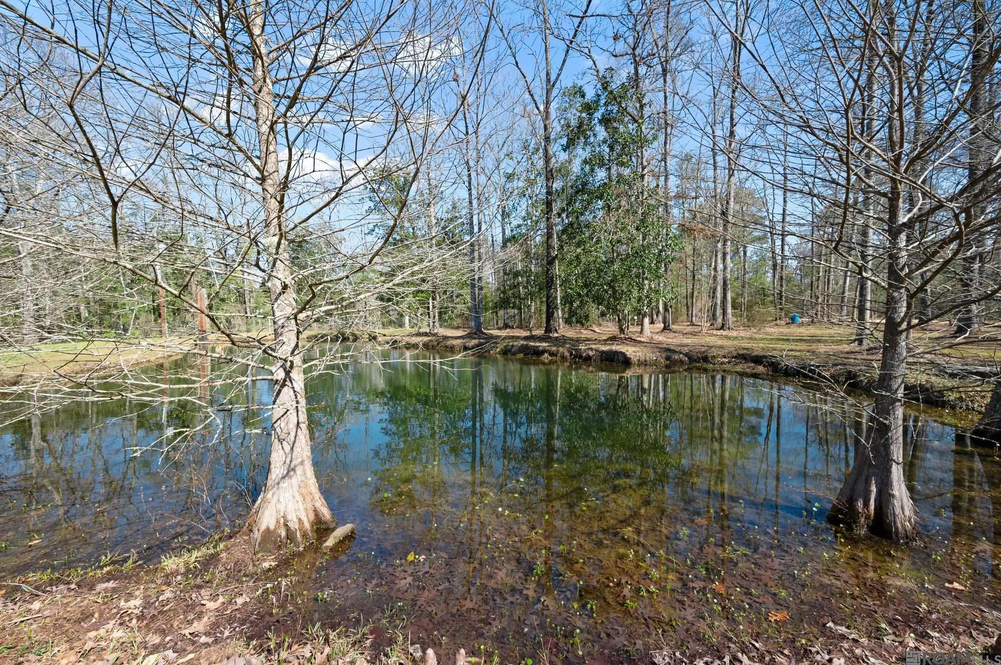11420 Mill Creek Ln, Slaughter, Louisiana image 21