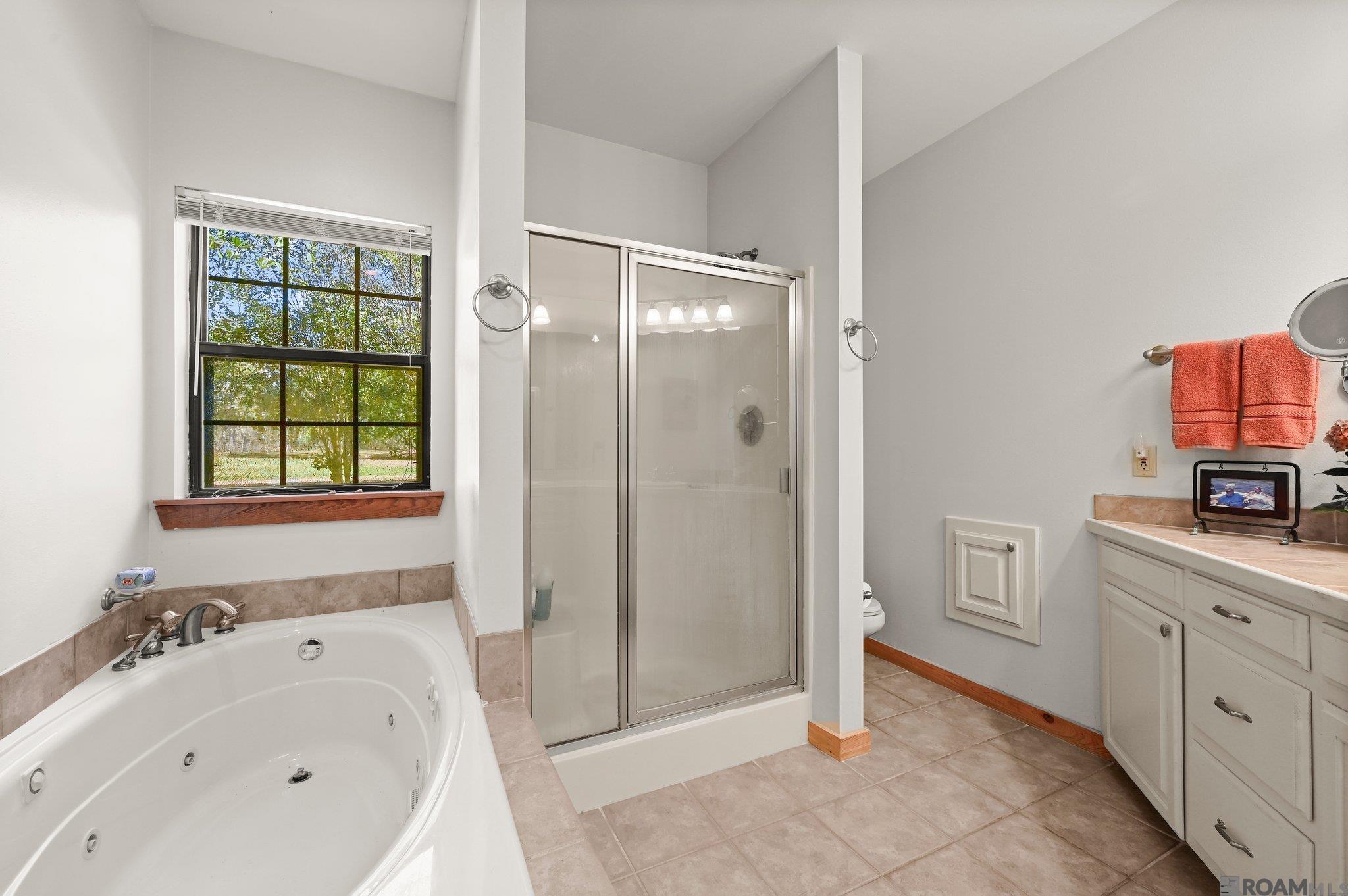 11420 Mill Creek Ln, Slaughter, Louisiana image 11