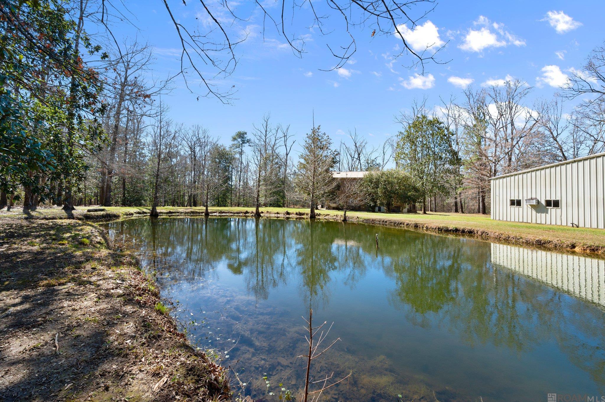 11420 Mill Creek Ln, Slaughter, Louisiana image 22