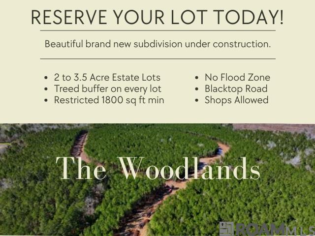 Lot 21 Honey Grove, Livingston, Louisiana image 1