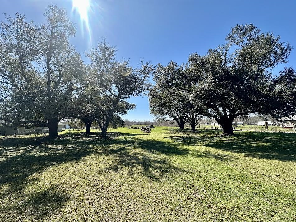 302 Lower Country Drive, Bourg, Louisiana image 1