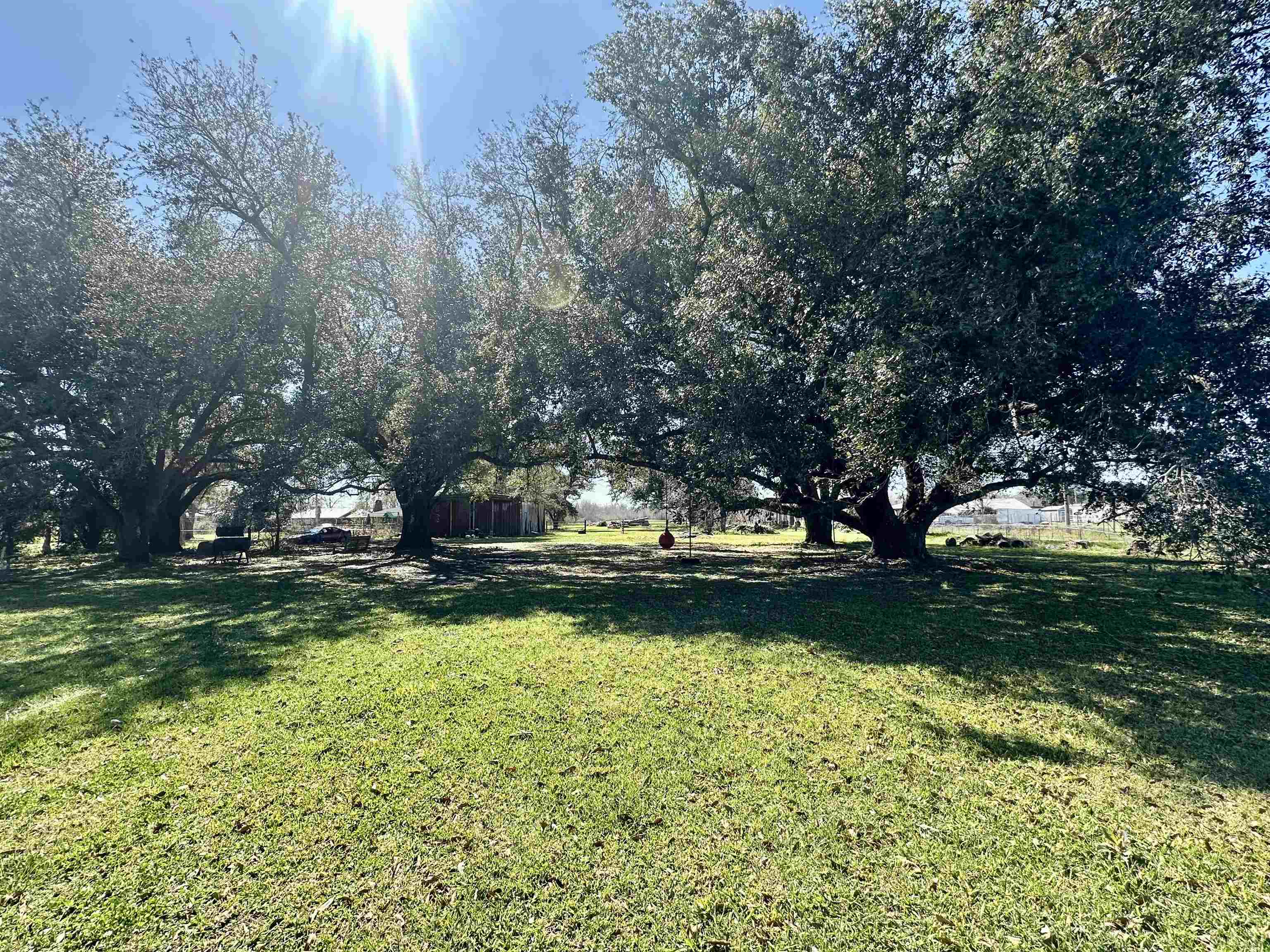 302 Lower Country Drive, Bourg, Louisiana image 4