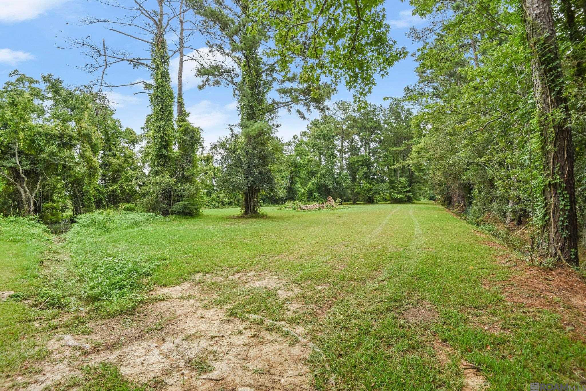26180 Cedar Cove Dr, Denham Springs, Louisiana image 6