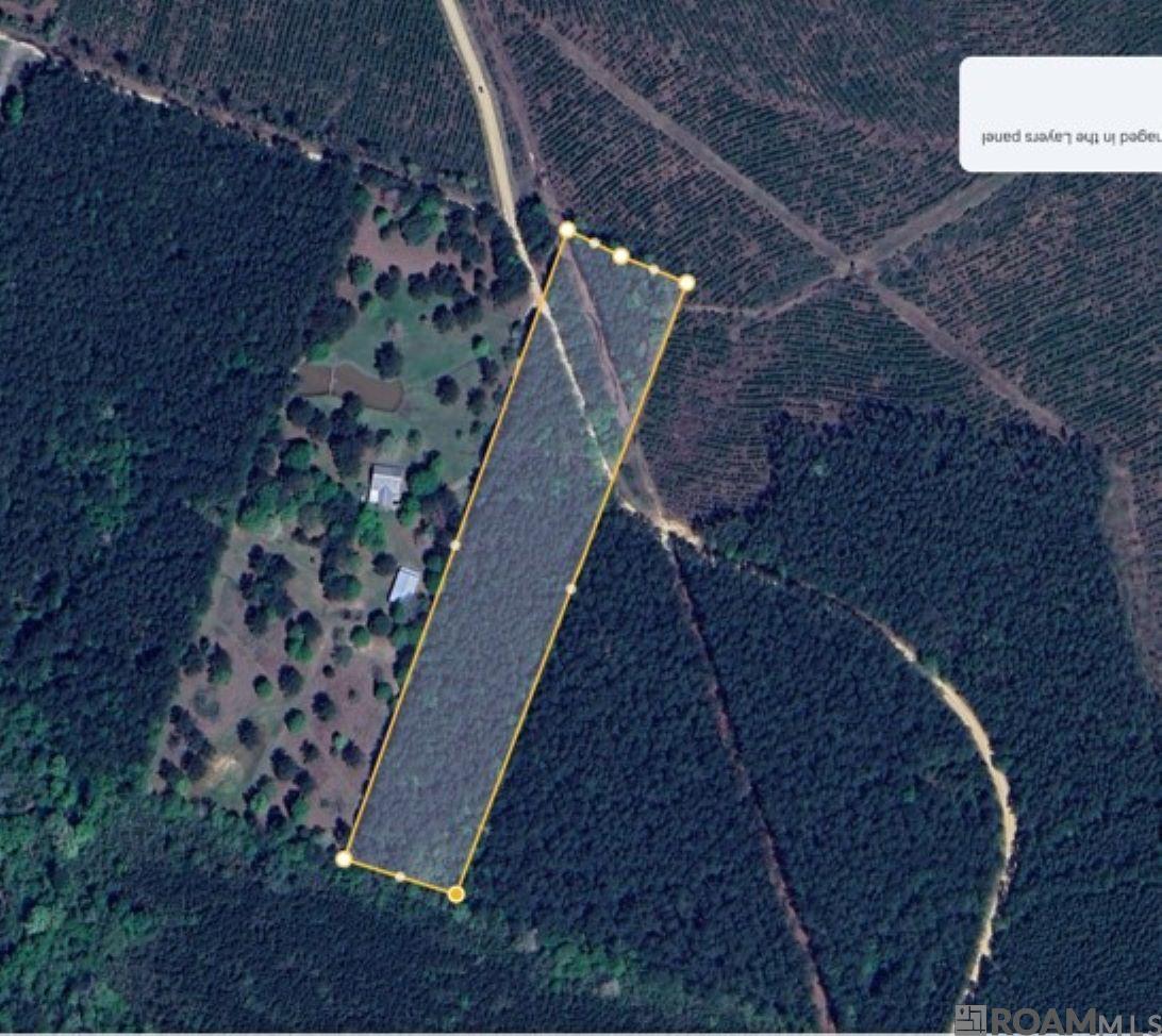 Lot 1 Mcknight Rd, Clinton, Louisiana image 1