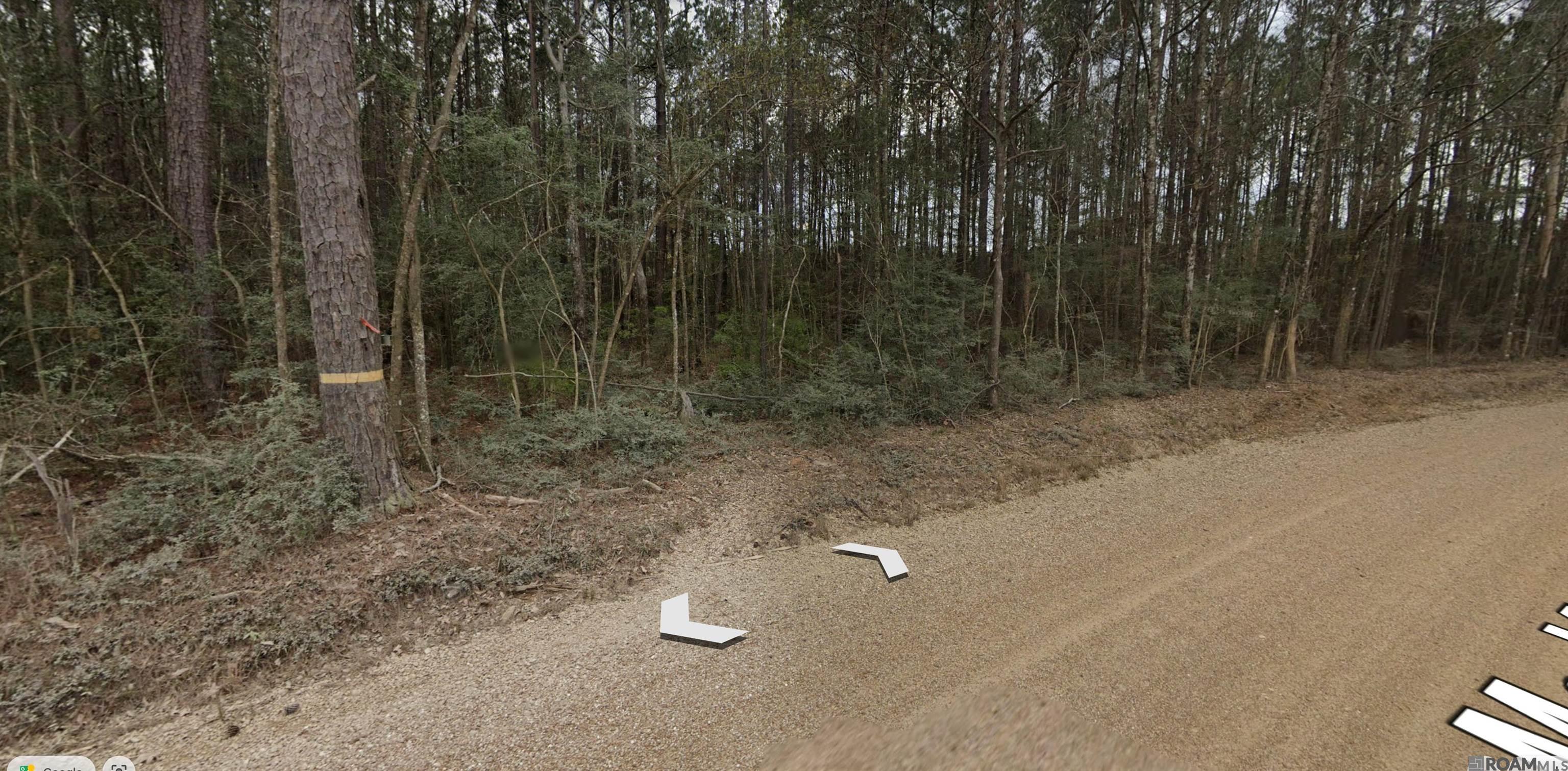 Lot 1 Mcknight Rd, Clinton, Louisiana image 2