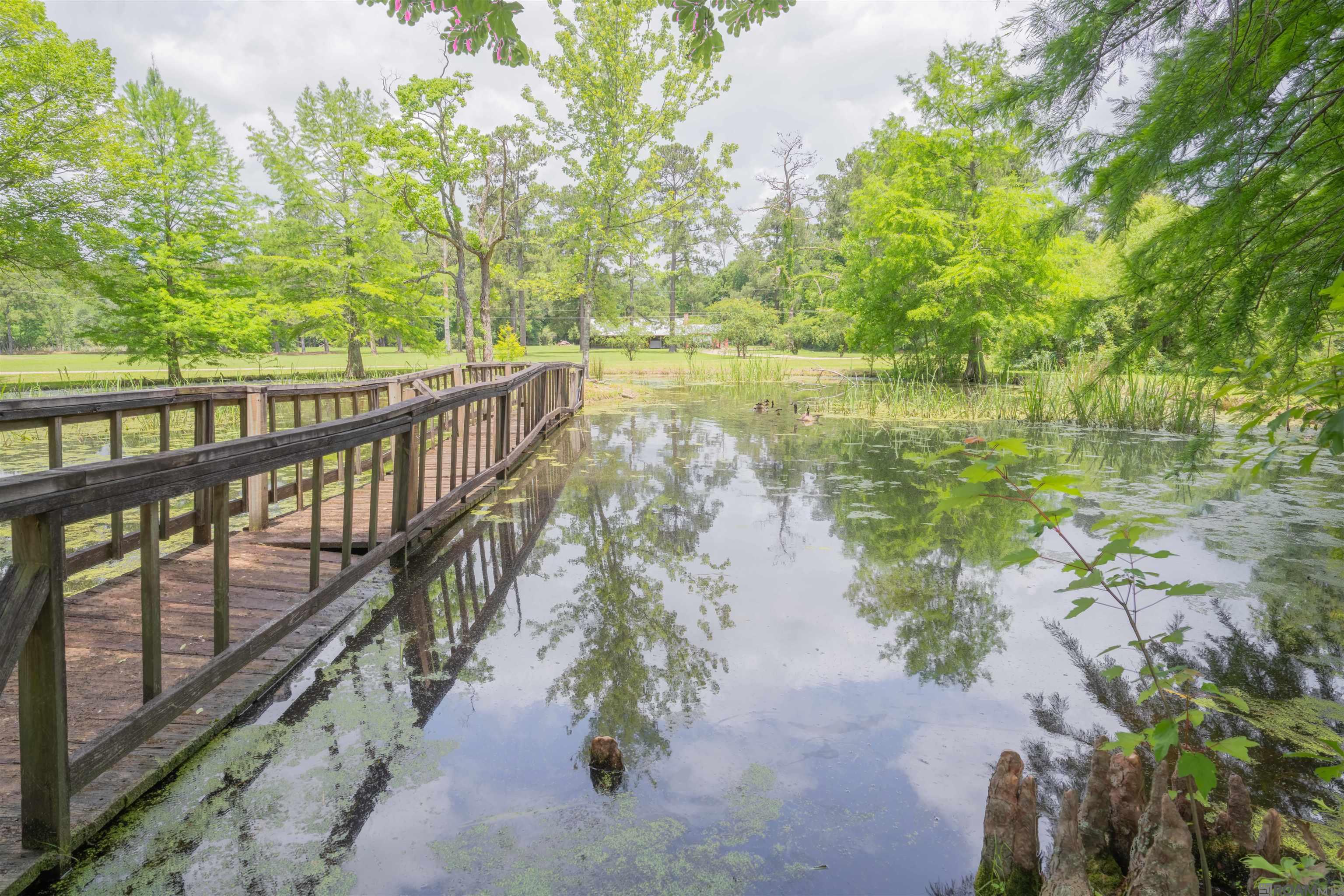 43264 S Coburn Loop, Hammond, Louisiana image 4