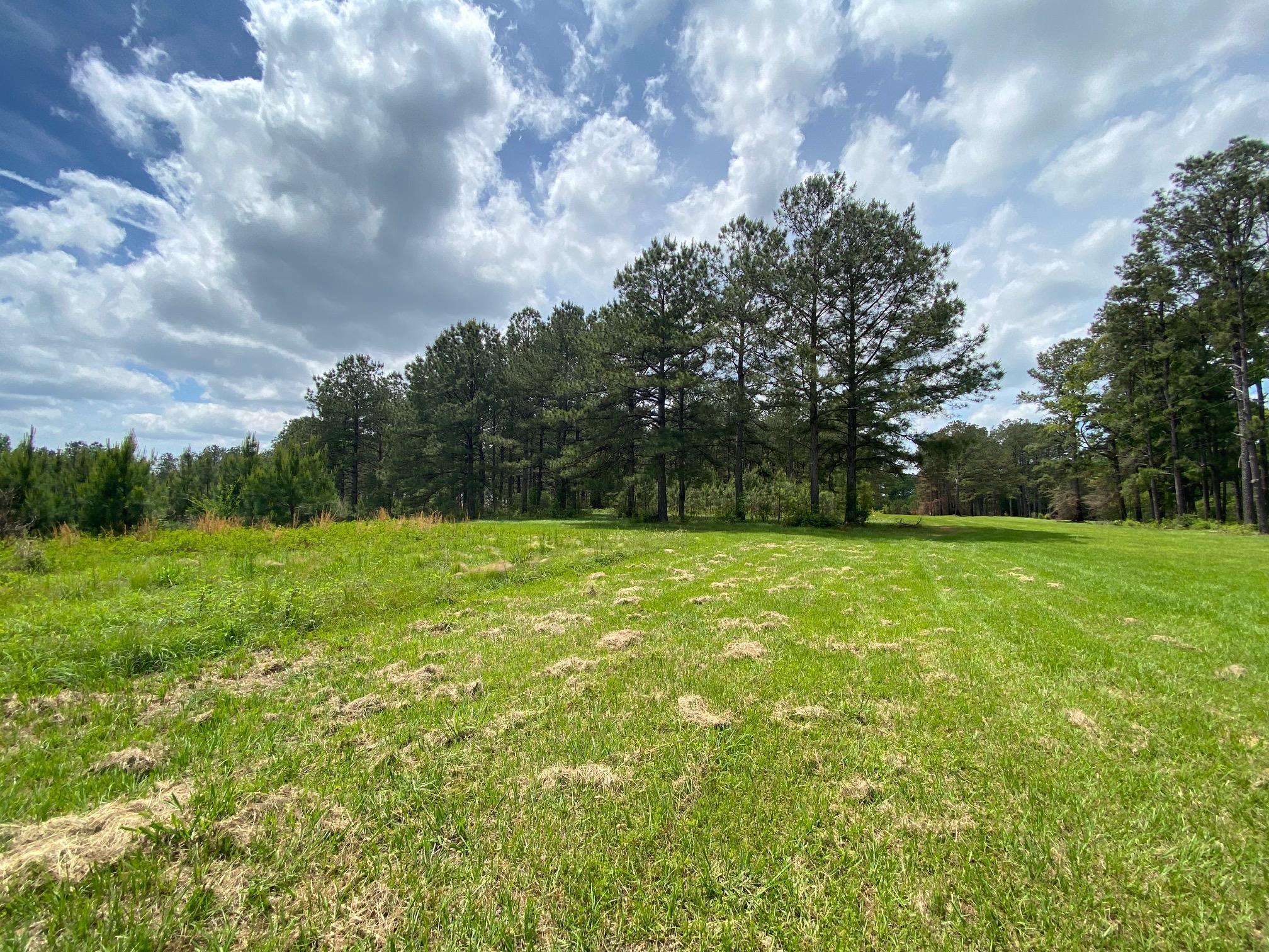 50077 Lawrence Creek Road, Franklinton, Louisiana image 19