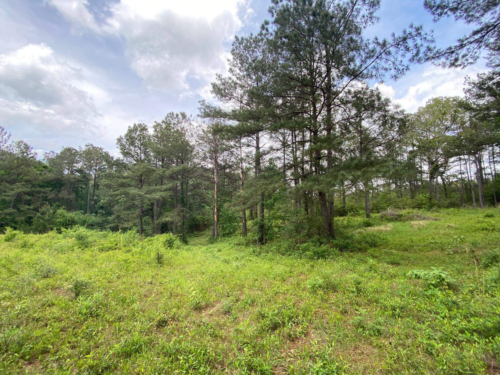 50077 Lawrence Creek Road, Franklinton, Louisiana image 21