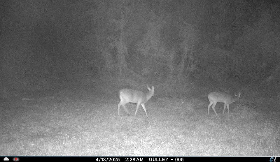 50077 Lawrence Creek Road, Franklinton, Louisiana image 28