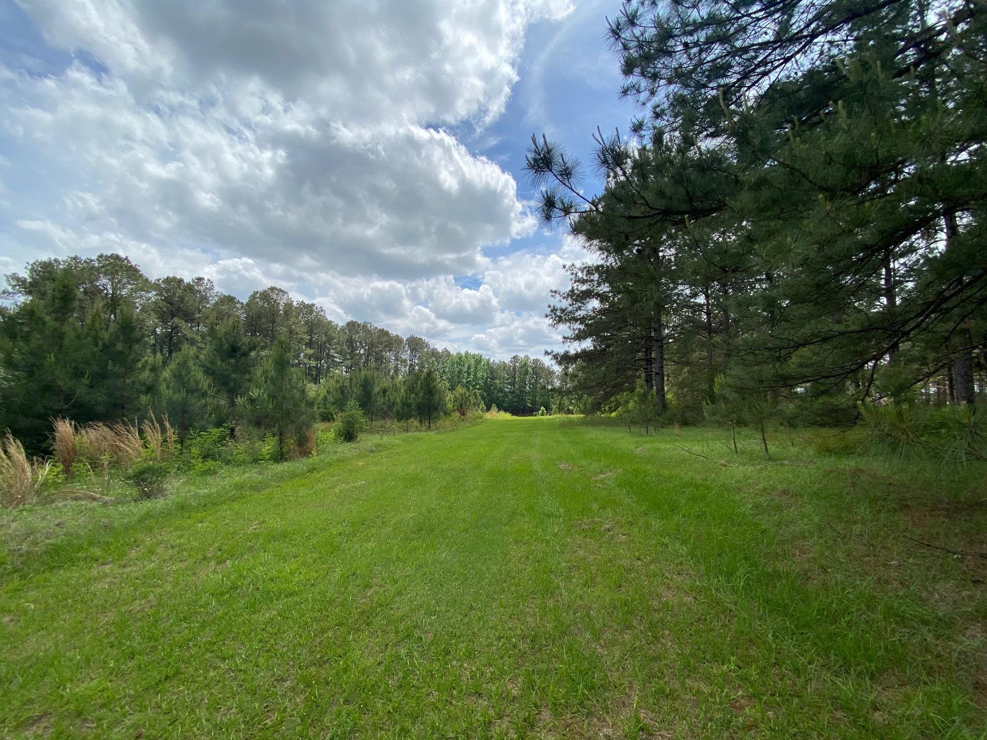 50077 Lawrence Creek Road, Franklinton, Louisiana image 23