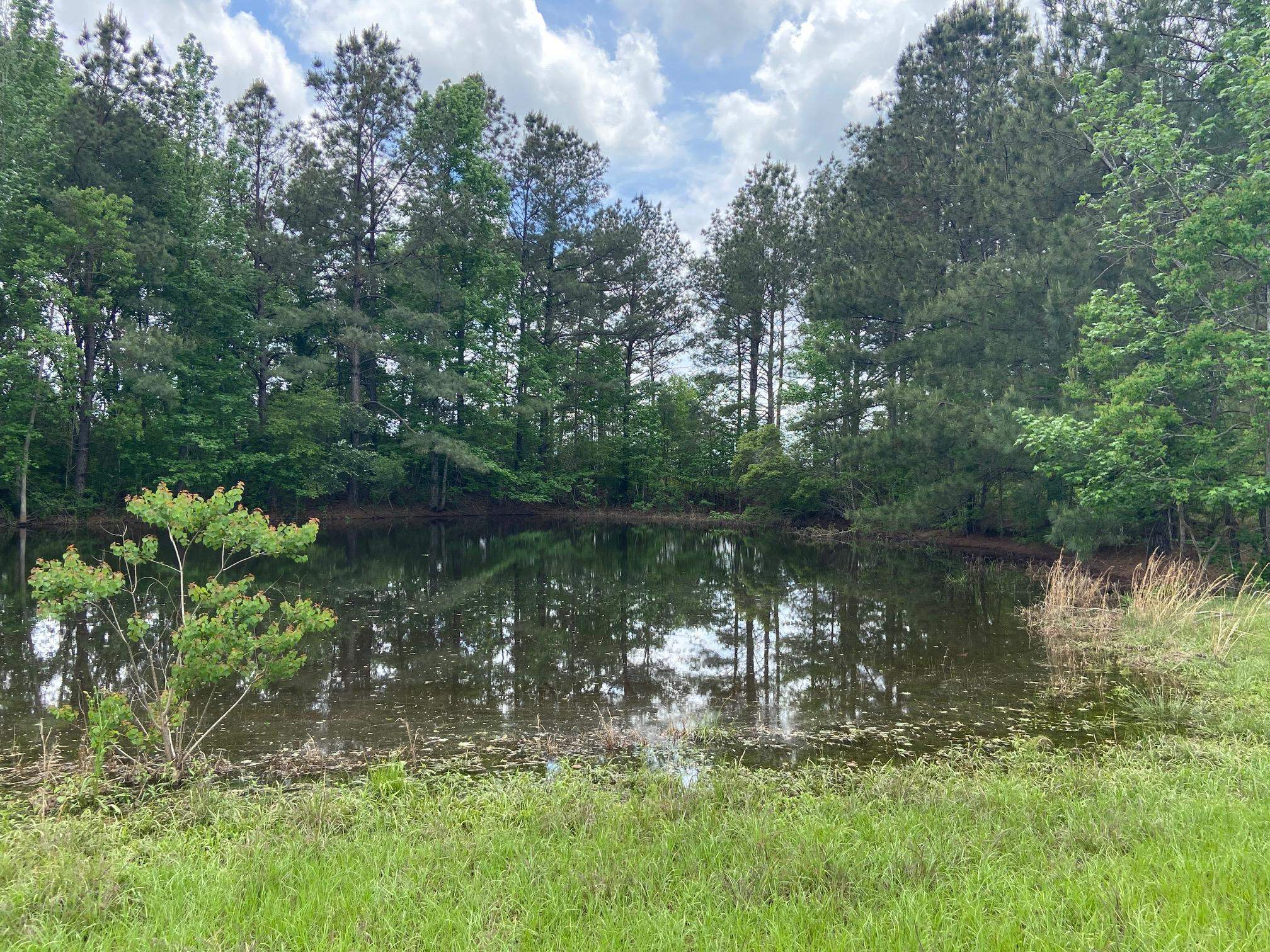 50077 Lawrence Creek Road, Franklinton, Louisiana image 17