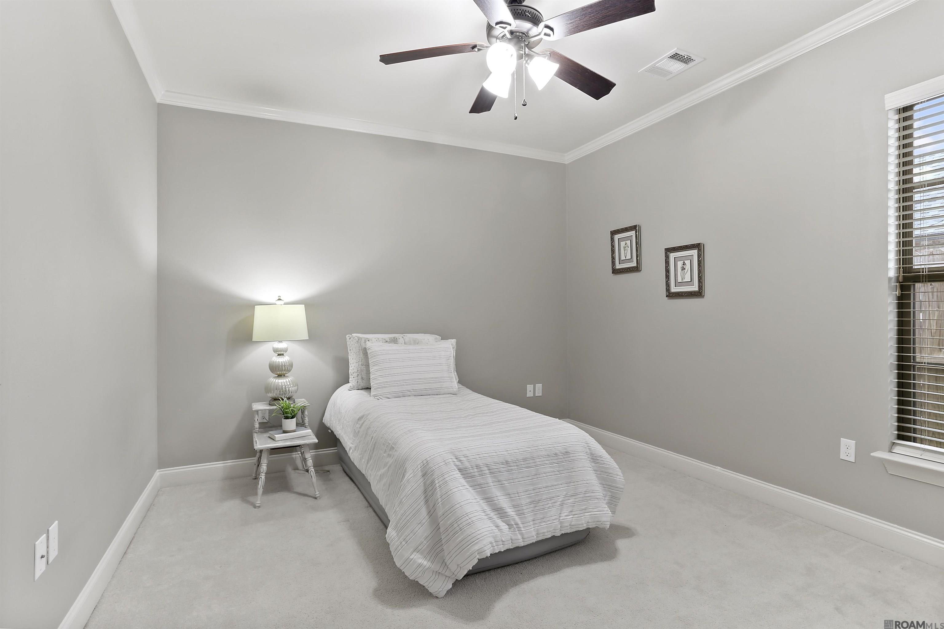 39382 Ironwood Ave, Prairieville, Louisiana image 18