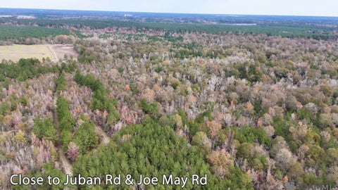Vacant Land For Sale - TBD 1 Joe May Rd<br/> Denham Springs, LA 70726