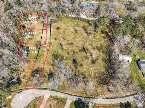Vacant Land For Sale - 6971 Chandler Bluff Rd<br/> Denham Springs, LA 70706