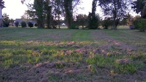 Vacant Land For Sale - 2005 Ormond Blvd<br/> Saint Charles County, Destrehan, LA 70047