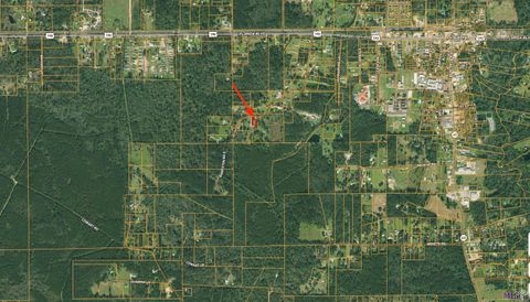 Vacant Land For Sale - TBD S Bankston Rd<br/> Albany, LA 70711