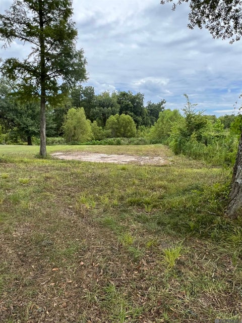 Vacant Land For Sale - 43116 La Hwy 42<br/> Ascension County, Prairieville, LA 70769