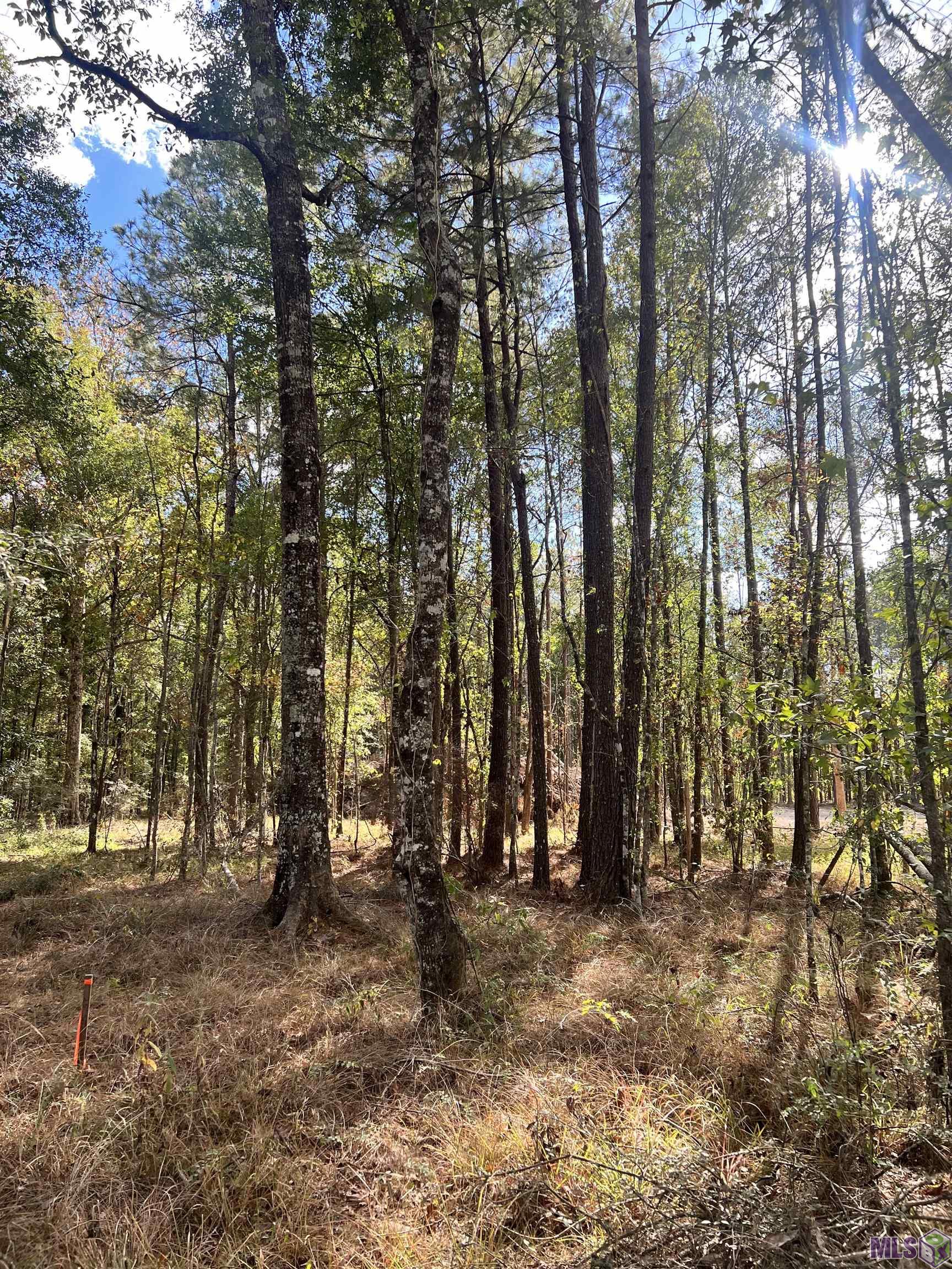 Lot 53 Nesom Rd, Denham Springs, Louisiana image 7