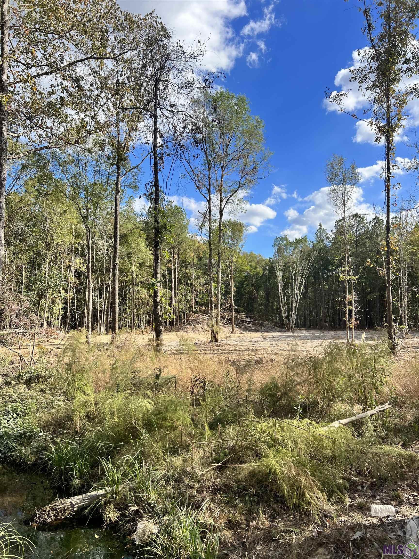 Lot 53 Nesom Rd, Denham Springs, Louisiana image 9