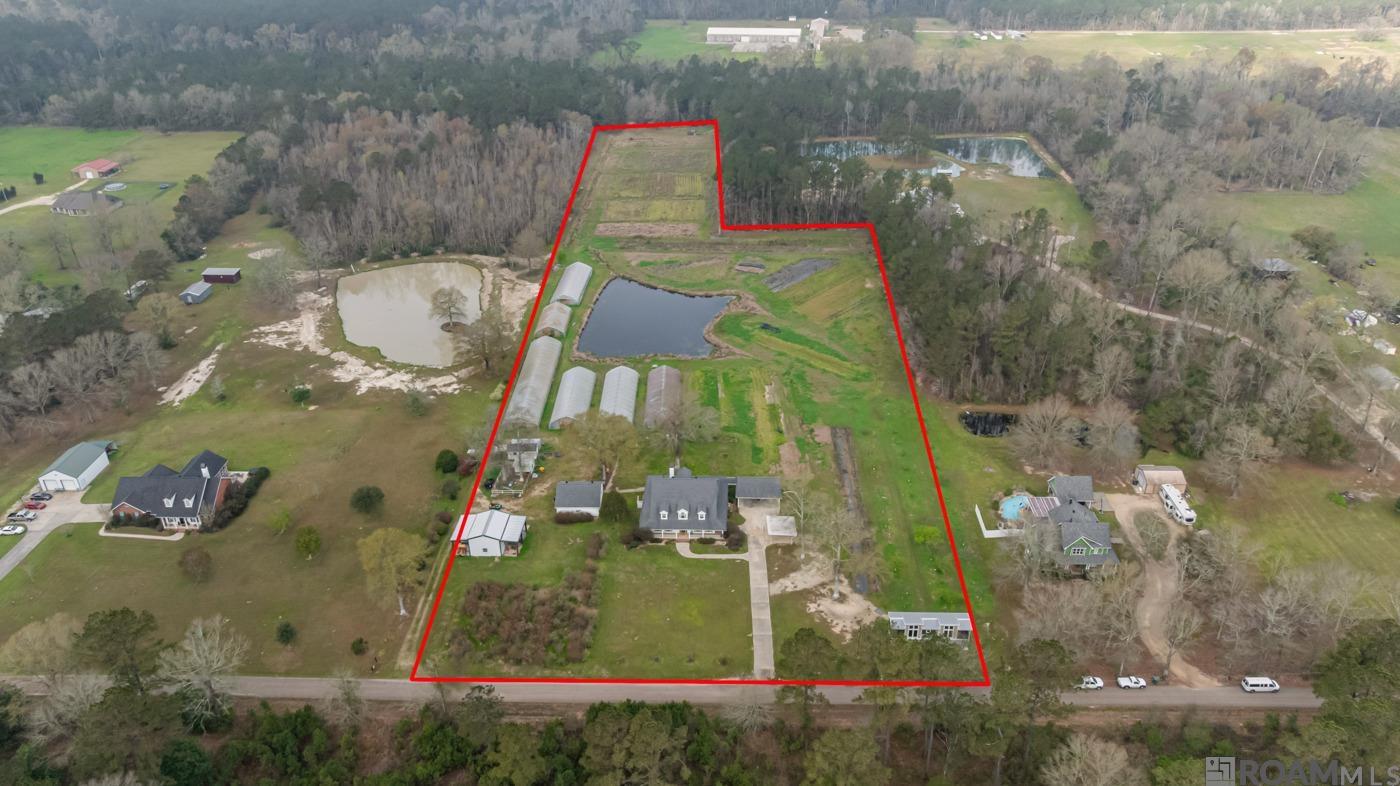 51287 Lamarca Ln, Independence, Louisiana image 2