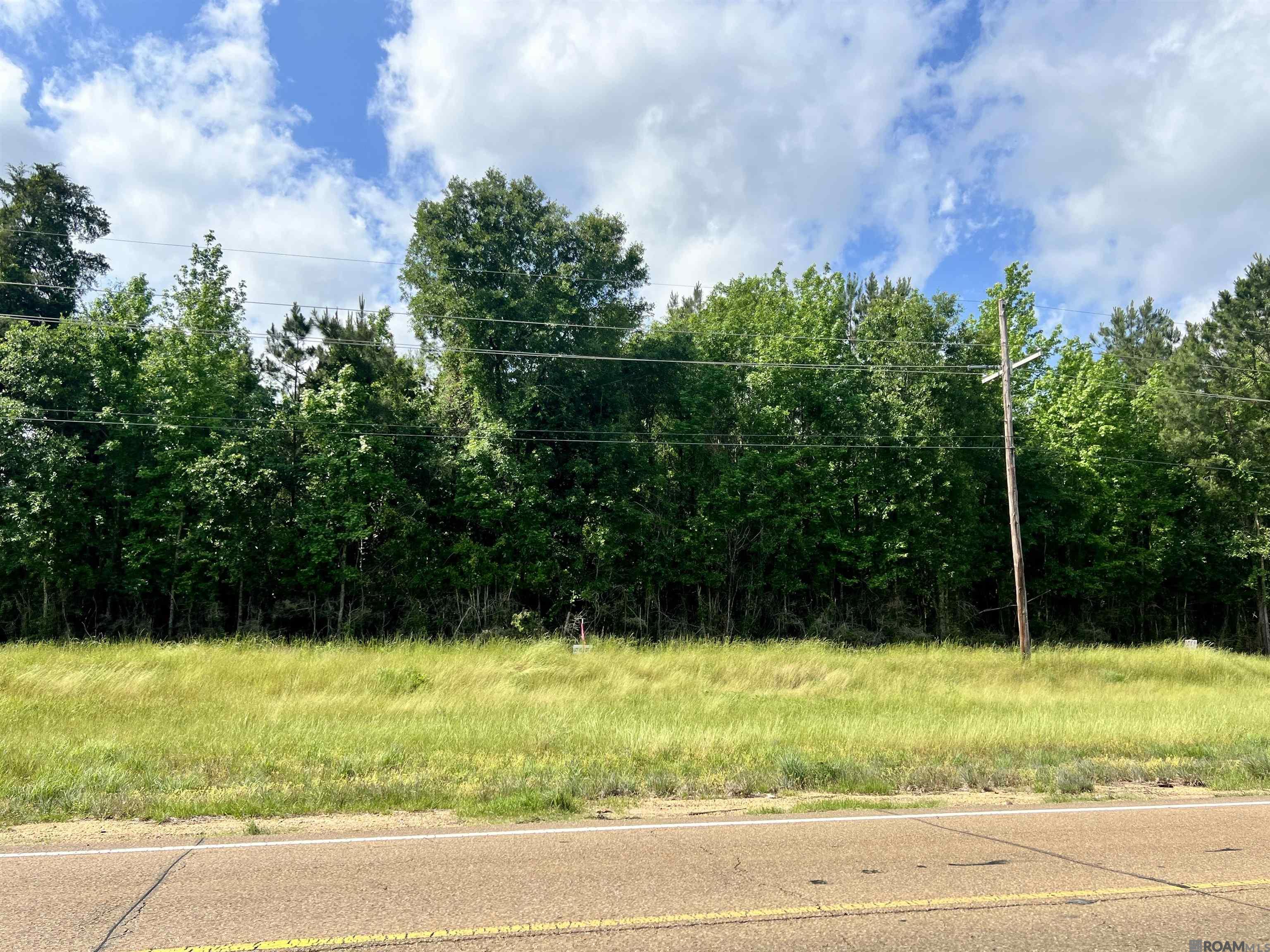 LOT 9 Hwy 24, Centreville, Mississippi image 1