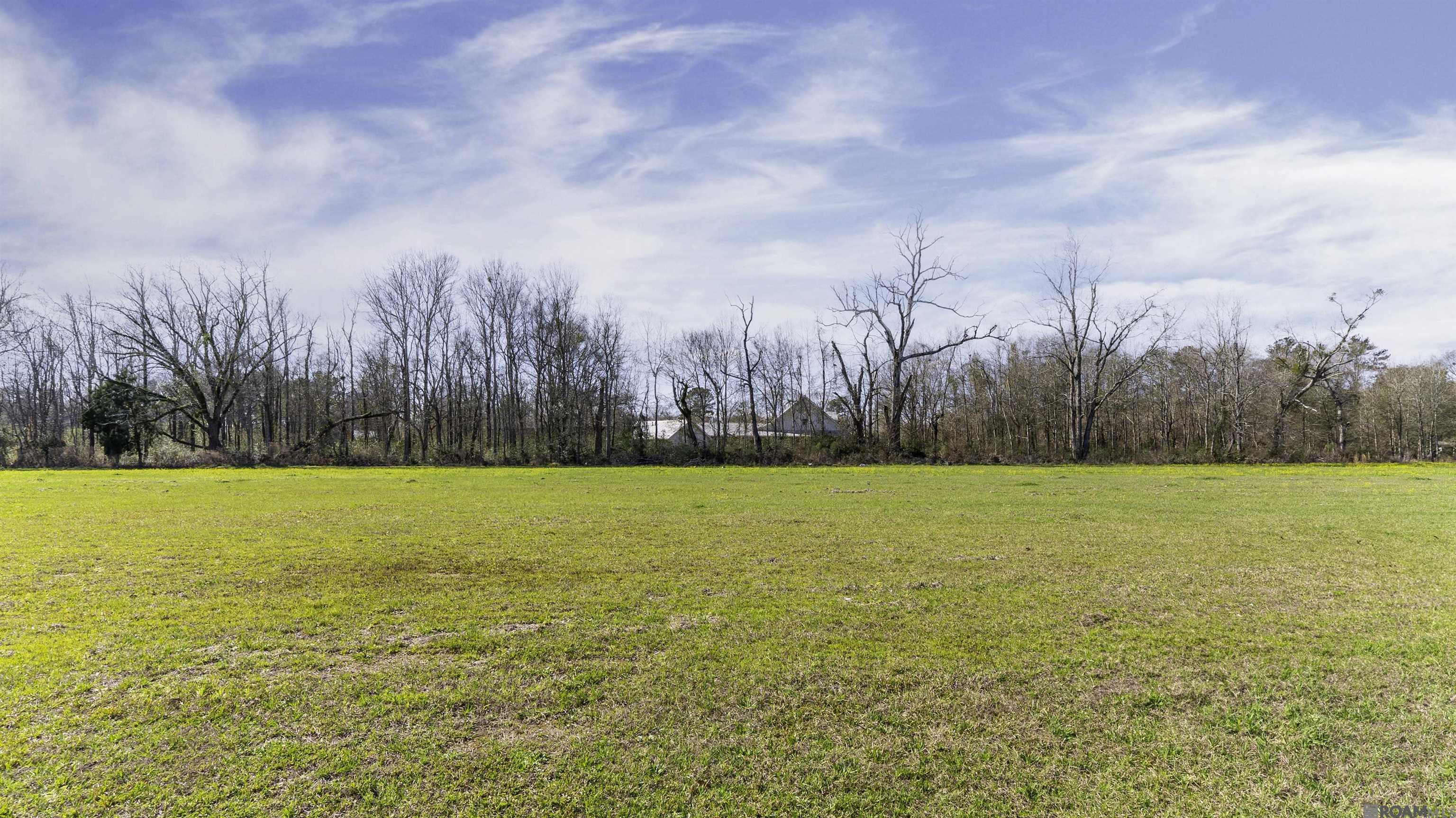 Lot 20 Manchac Reserve Dr, Baton Rouge, Louisiana image 4