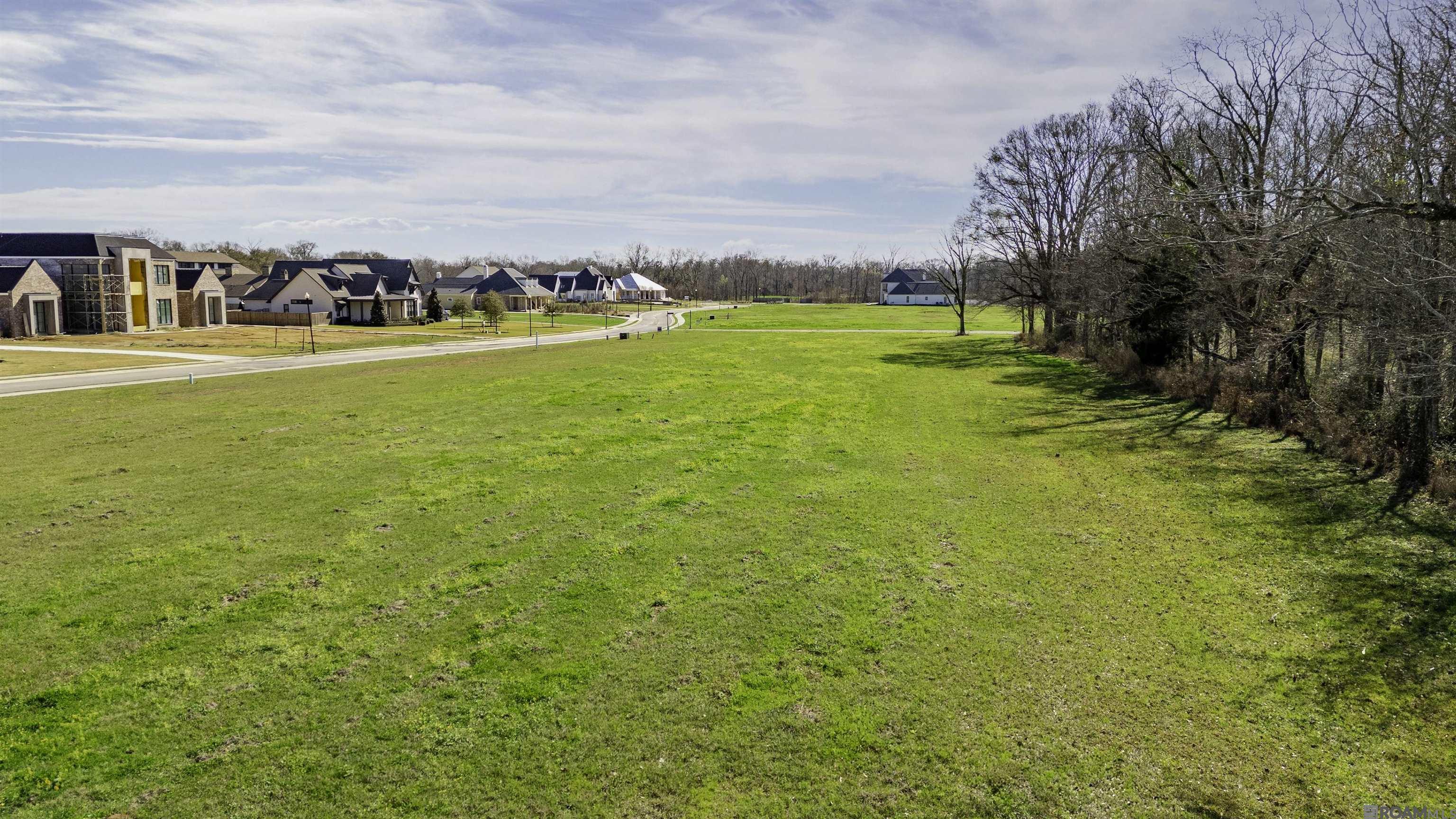 Lot 20 Manchac Reserve Dr, Baton Rouge, Louisiana image 5