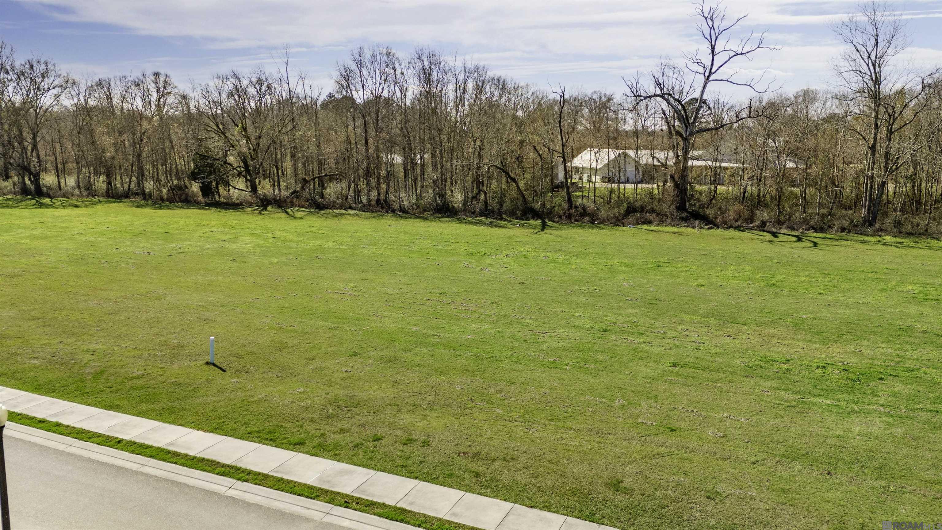 Lot 20 Manchac Reserve Dr, Baton Rouge, Louisiana image 3