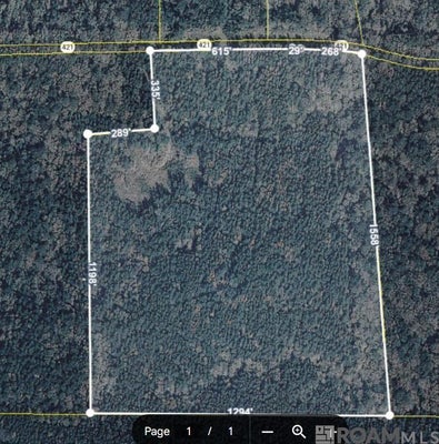 11619 HIGHWAY 421, SAINT FRANCISVILLE, LA 70775 - Image c788c0da2b894aae3f7fa5a32b00ec03/3759626125