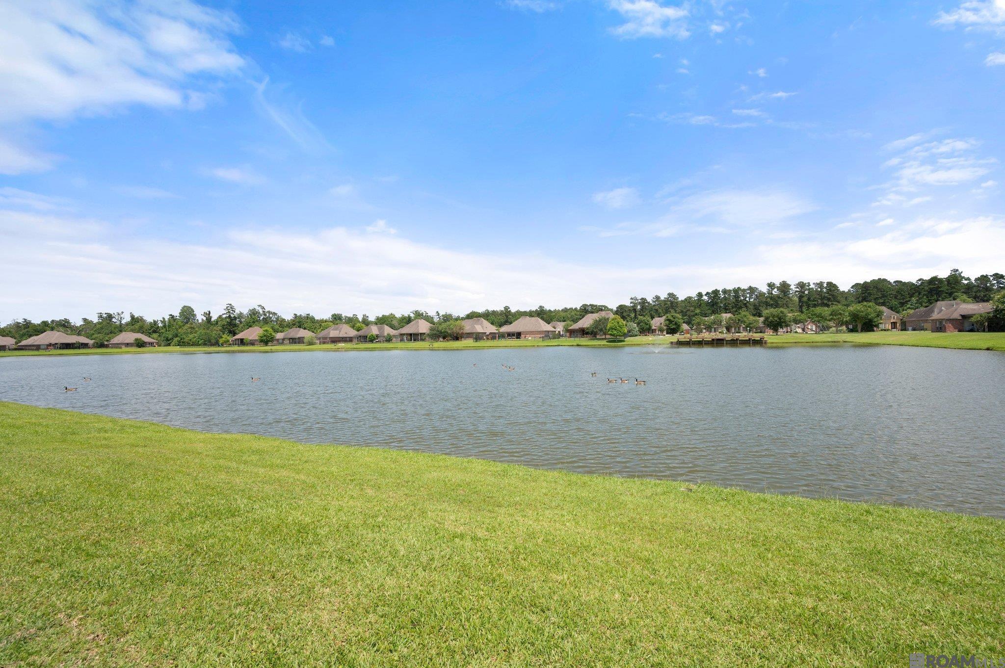 4927 Woodstock Way Dr, Greenwell Springs, Louisiana image 22