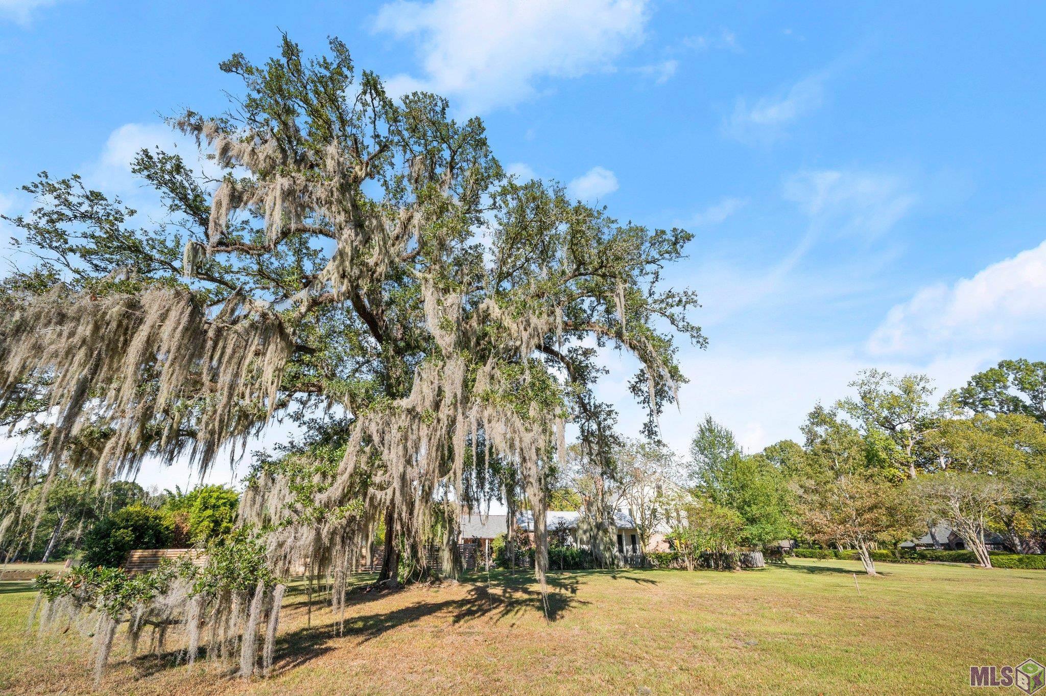 37110 St Andrews Fairway, Prairieville, Louisiana image 30