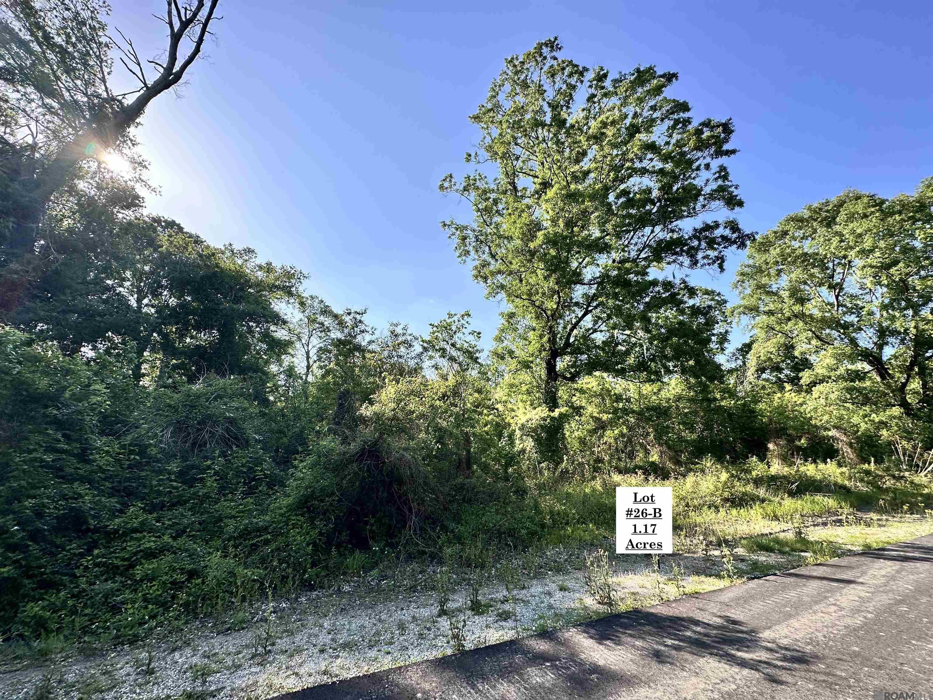 Lot #26-B Summerfield South Rd, Prairieville, Louisiana image 1