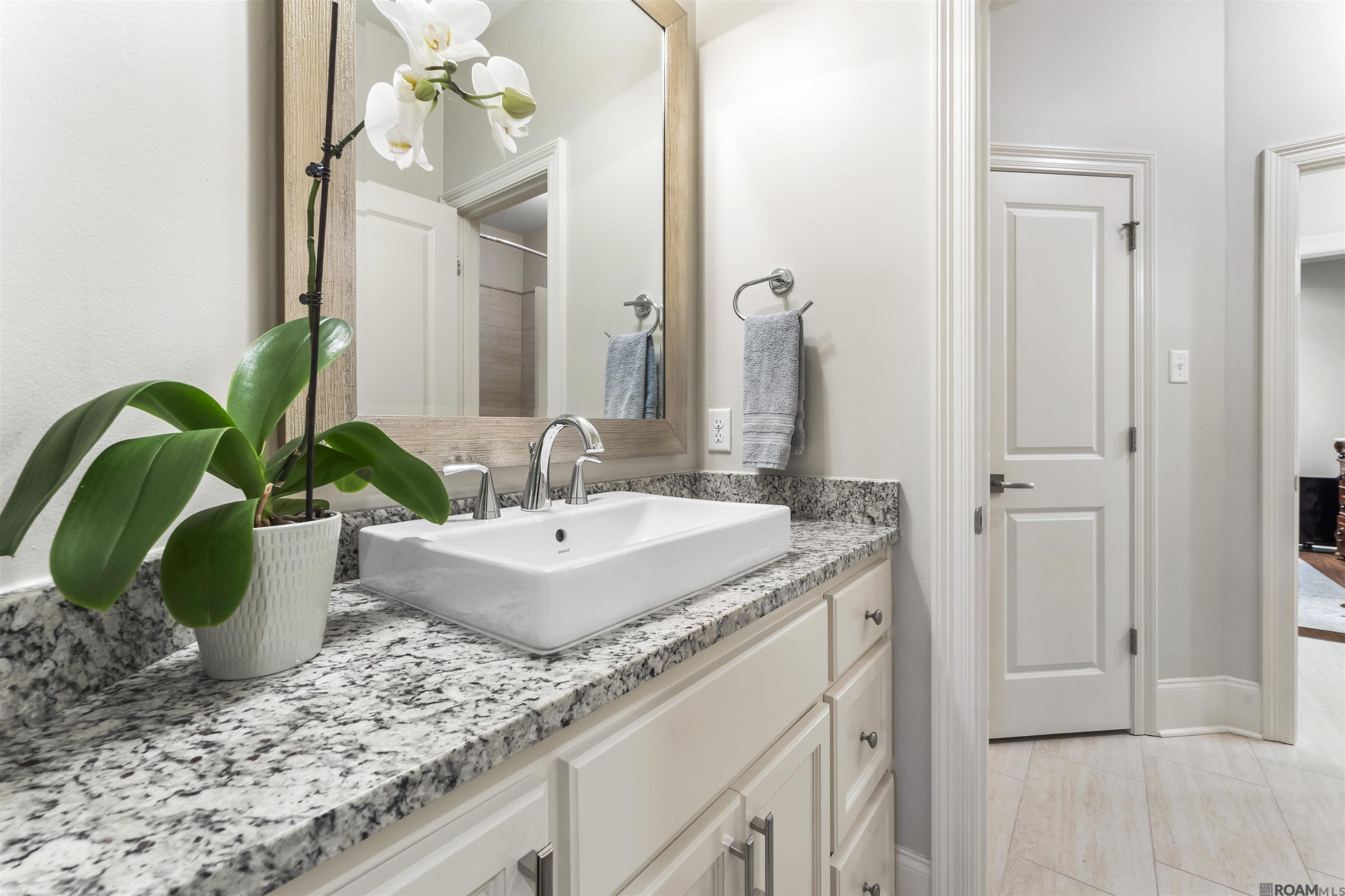 36612 Plantation Blvd, Prairieville, Louisiana image 18