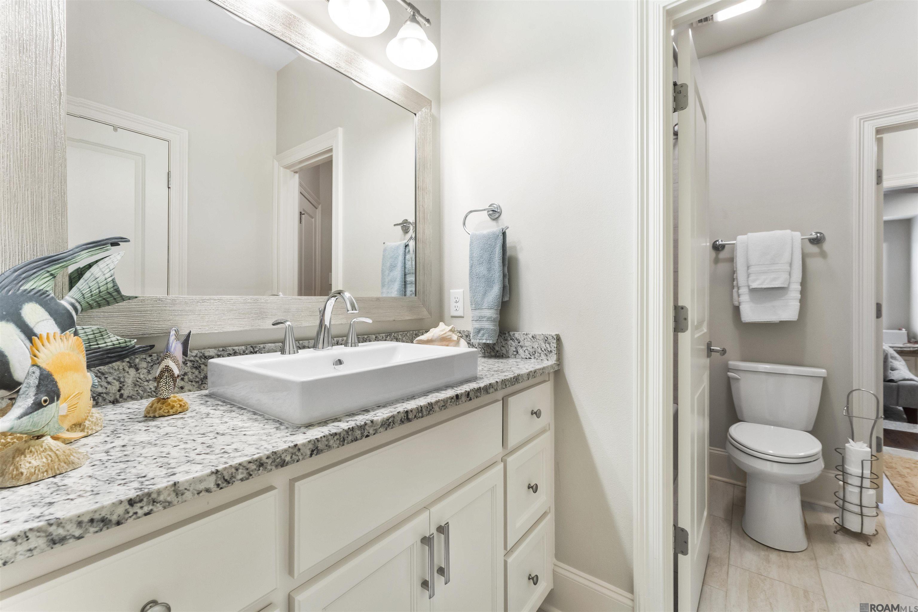 36612 Plantation Blvd, Prairieville, Louisiana image 17