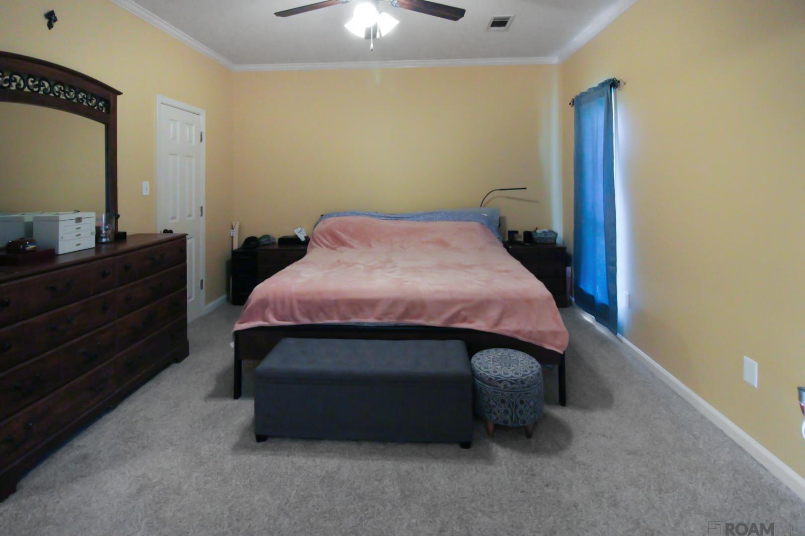 31228 Seagull Ln, Denham Springs, Louisiana image 7