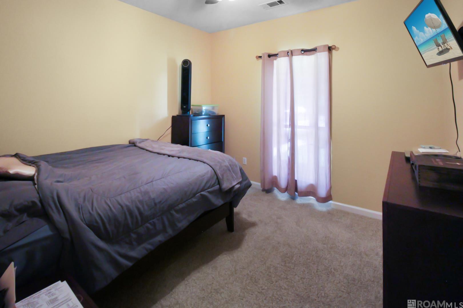 31228 Seagull Ln, Denham Springs, Louisiana image 9