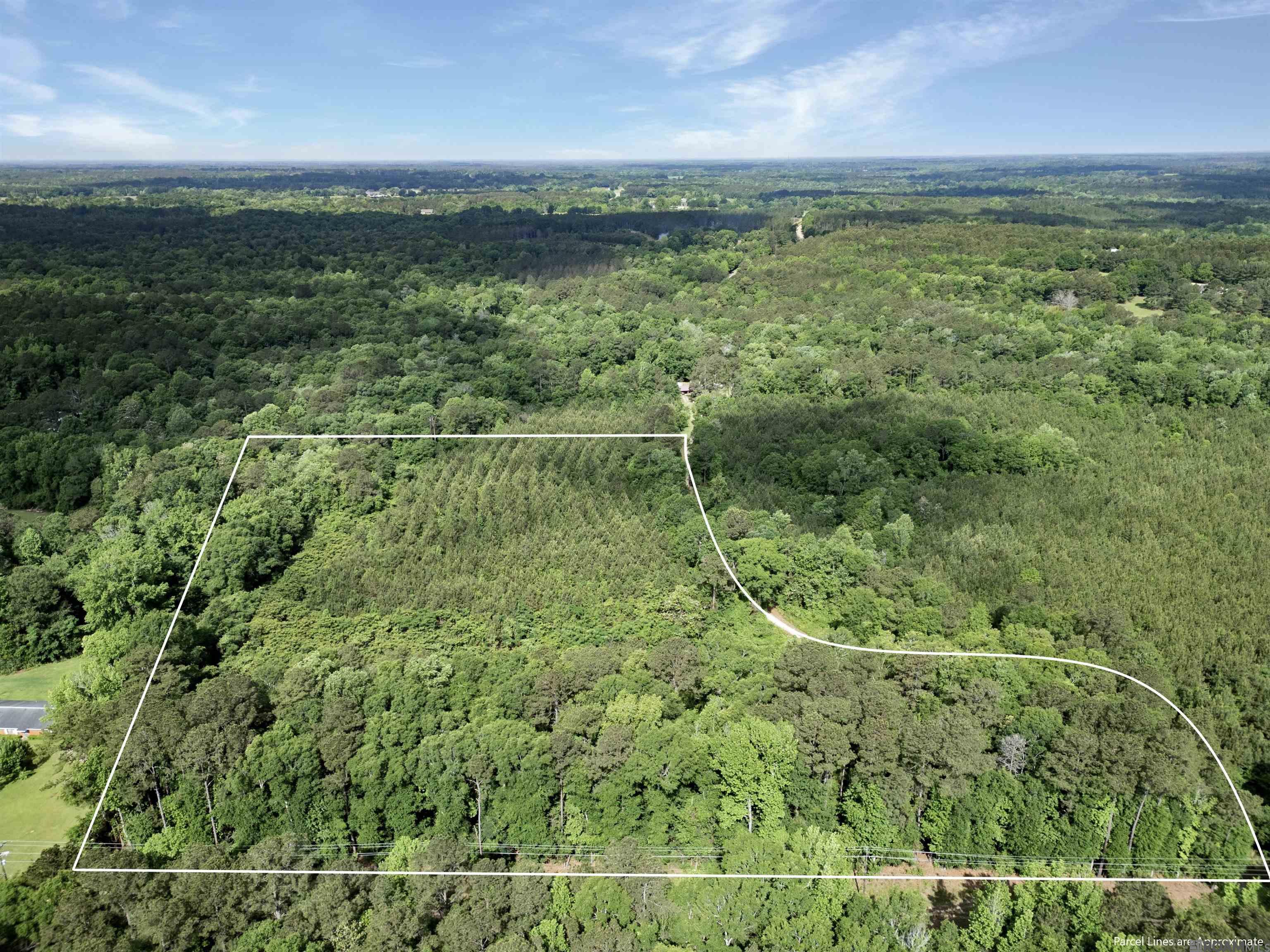 Lot 6 Hwy 62, Franklinton, Louisiana image 14