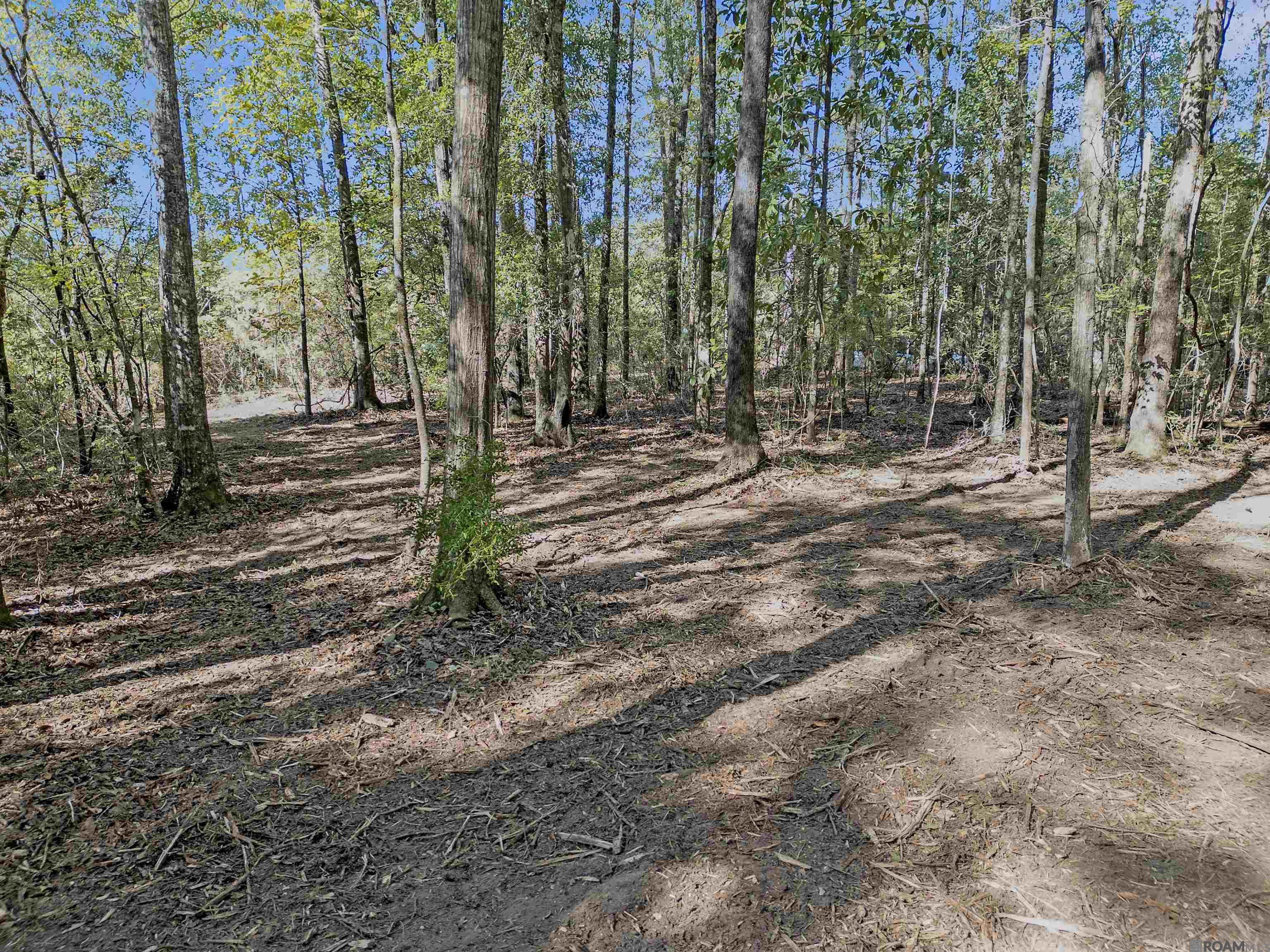 Lot 6 Hwy 62, Franklinton, Louisiana image 7