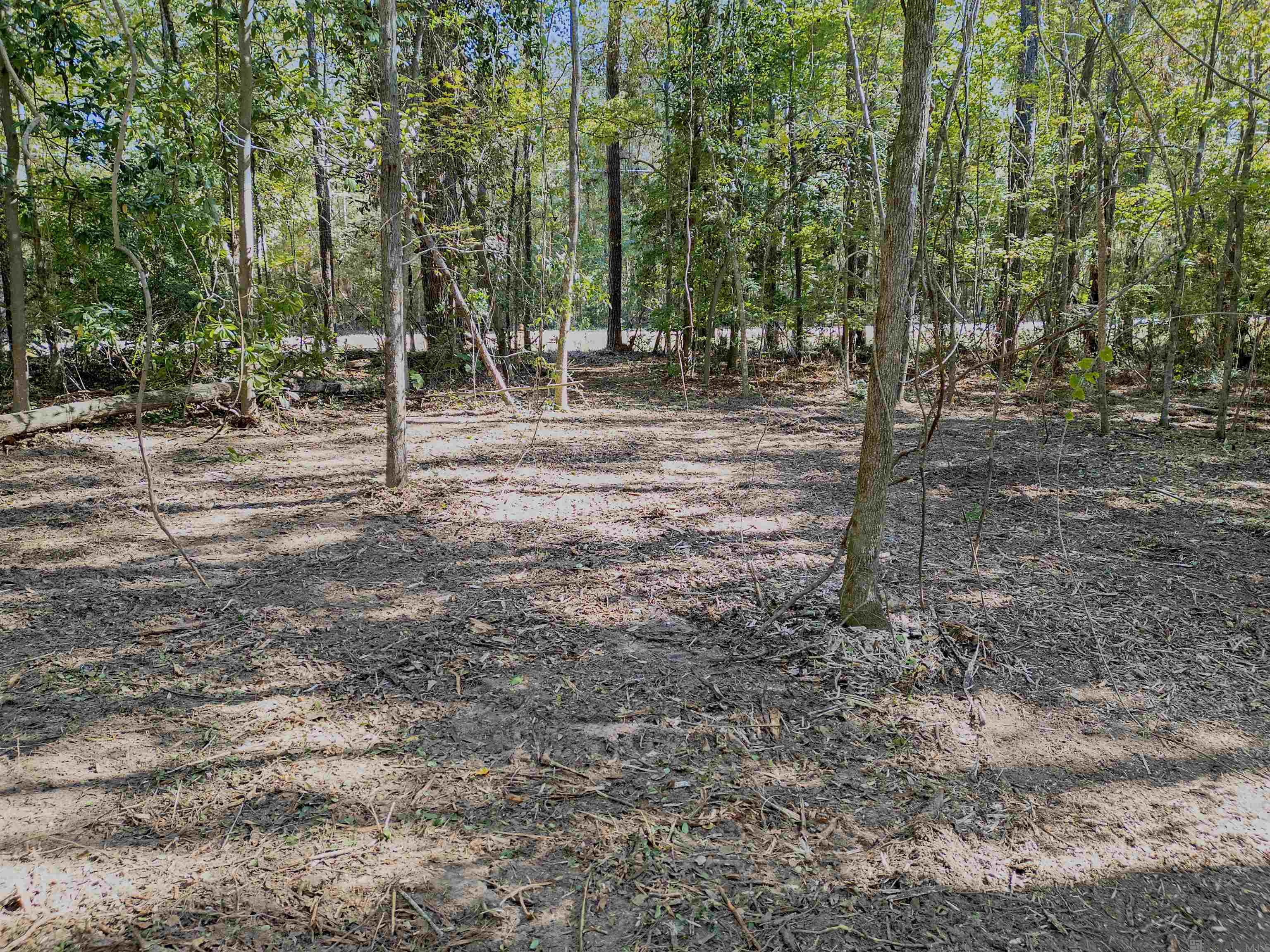 Lot 6 Hwy 62, Franklinton, Louisiana image 5