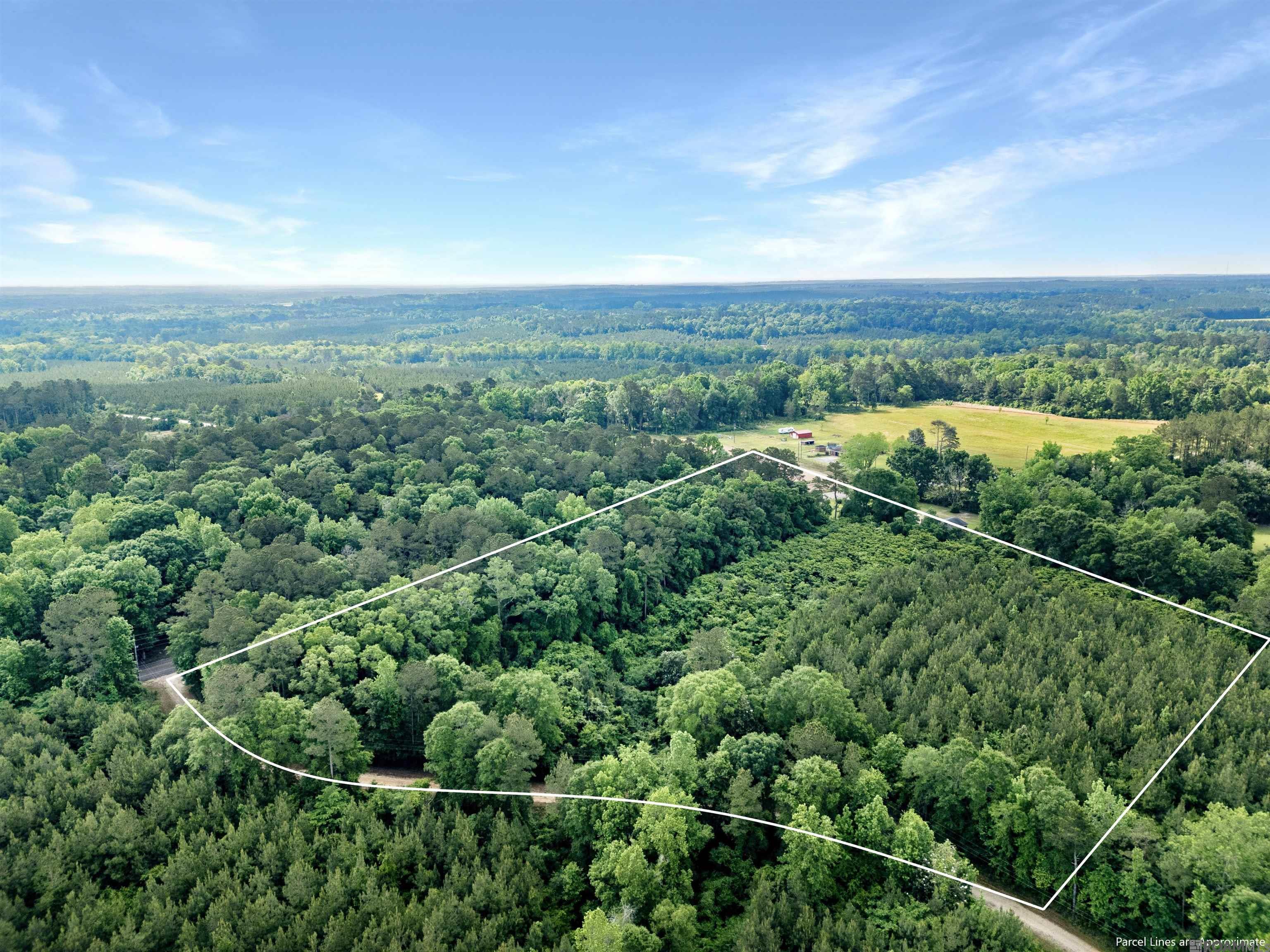 Lot 6 Hwy 62, Franklinton, Louisiana image 13