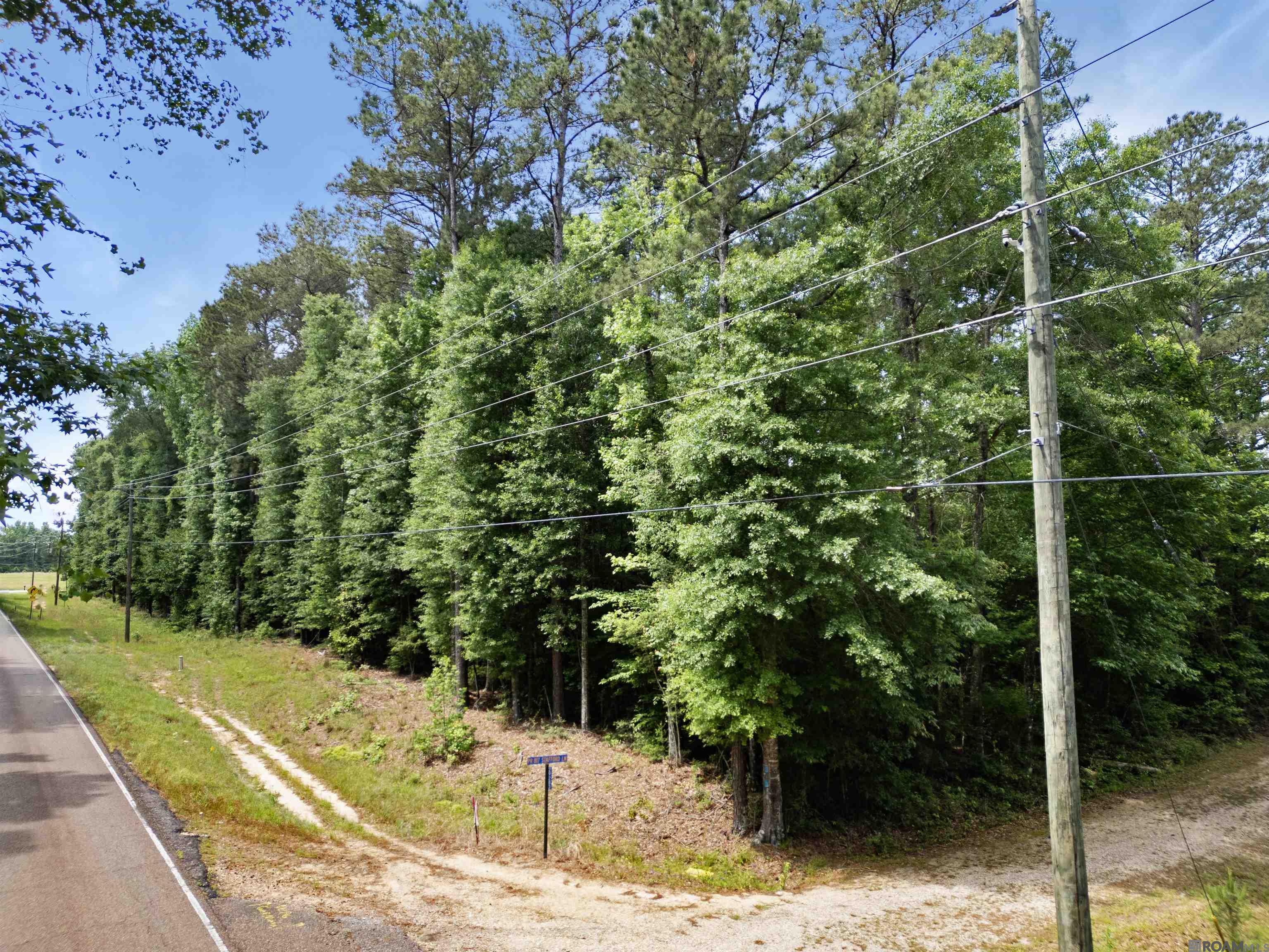 Lot 6 Hwy 62, Franklinton, Louisiana image 3