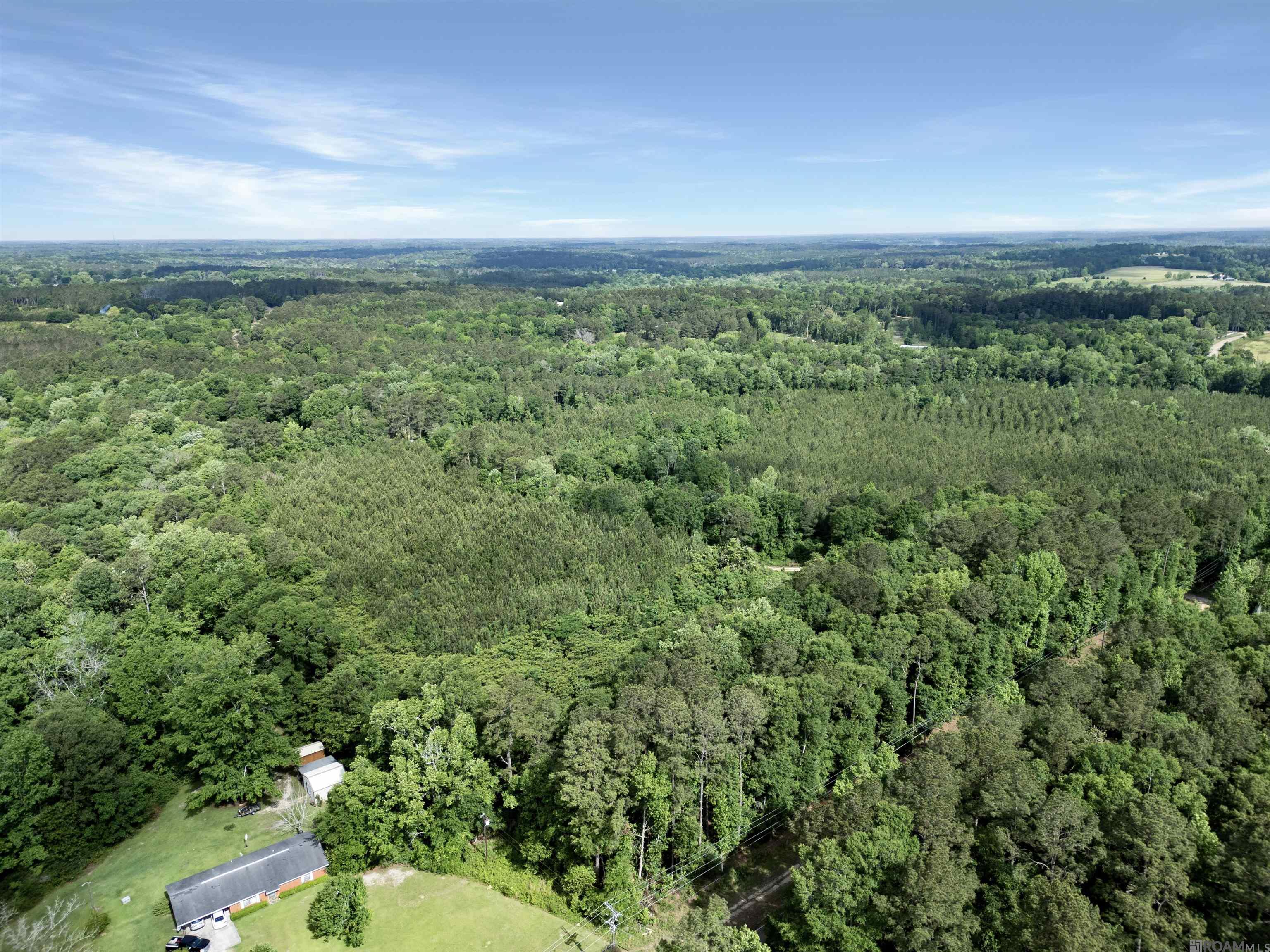 Lot 6 Hwy 62, Franklinton, Louisiana image 9